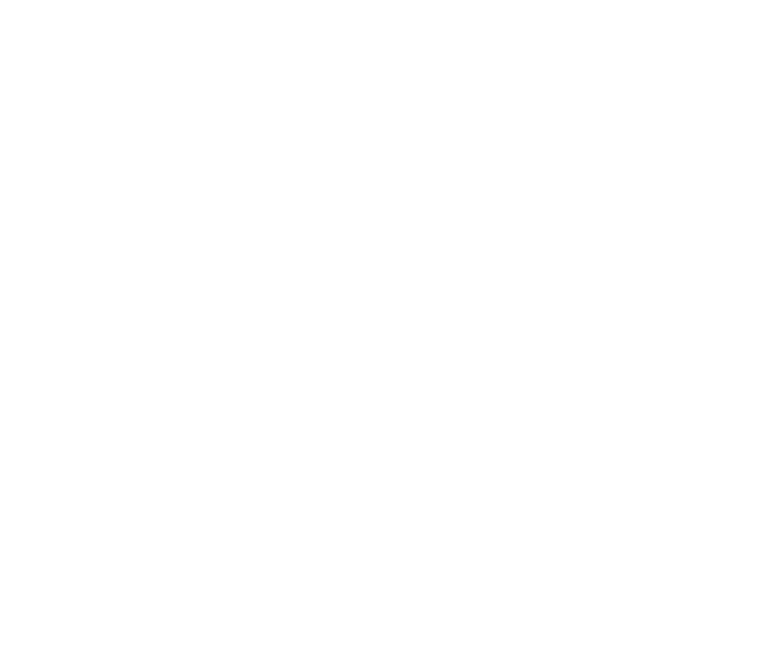 Precision Pavers